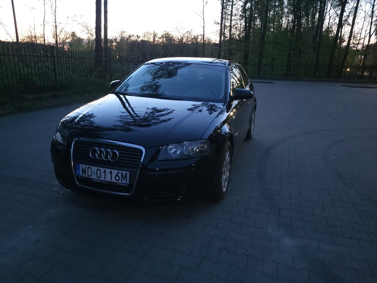Audi a3 8P 1.9tdi