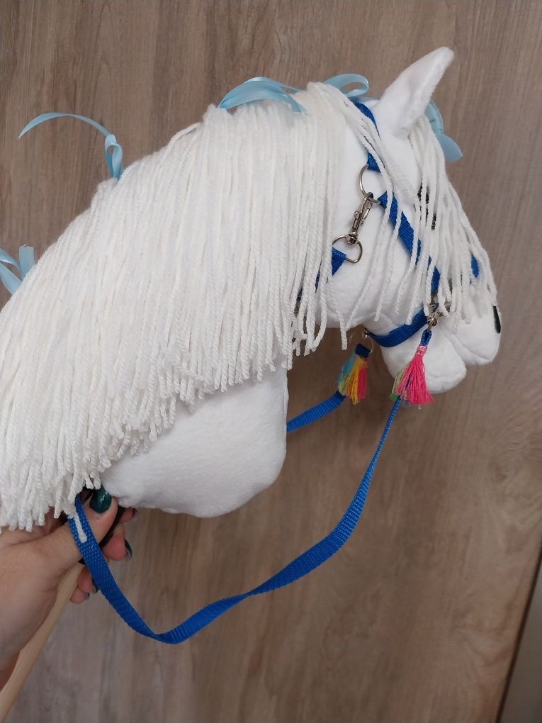 Konik hobby horse