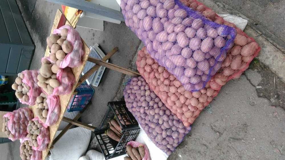 Картопля Біла Роса домашня