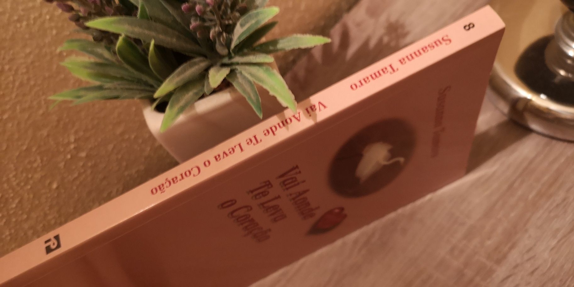 Livro Vai Aonde te Leva o Coração de Susanna Tamaro