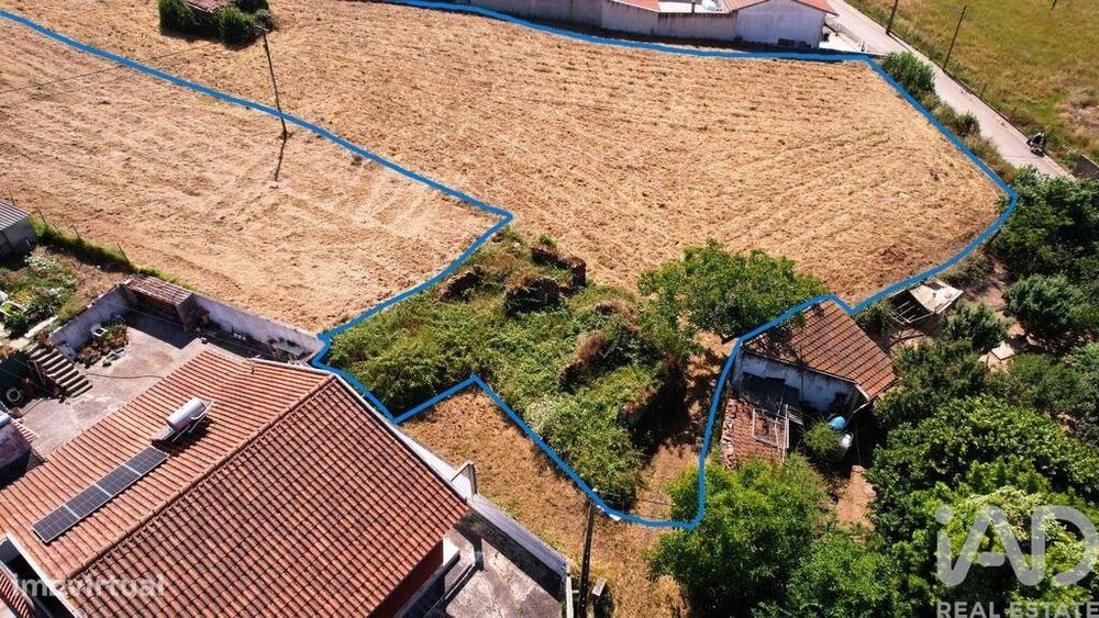 Terreno para construção em Alcobaça e Vestiaria