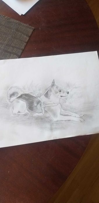 Wykonam rysunek ze zdjęcia