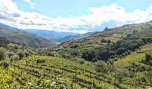 Venda de Quinta no Douro, em Vila Marim/Mesão Frio