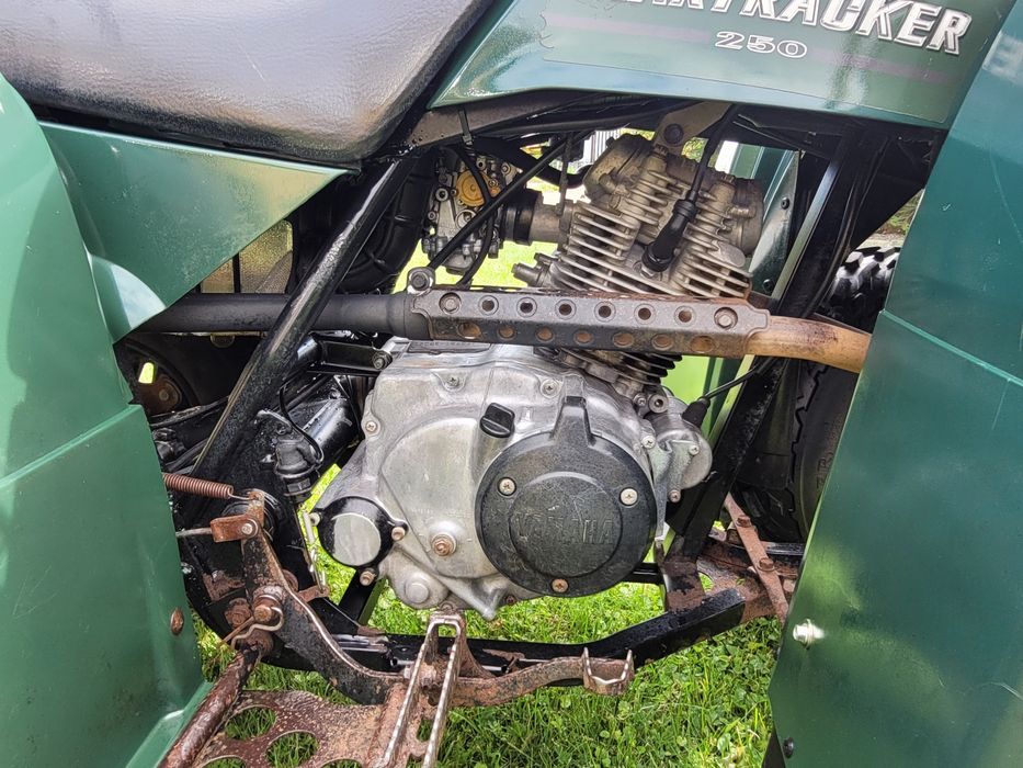 Yamaha Bear Tracker 250
