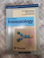Livro Medicina "Color Atlas of Immunology" das colecções da Thieme