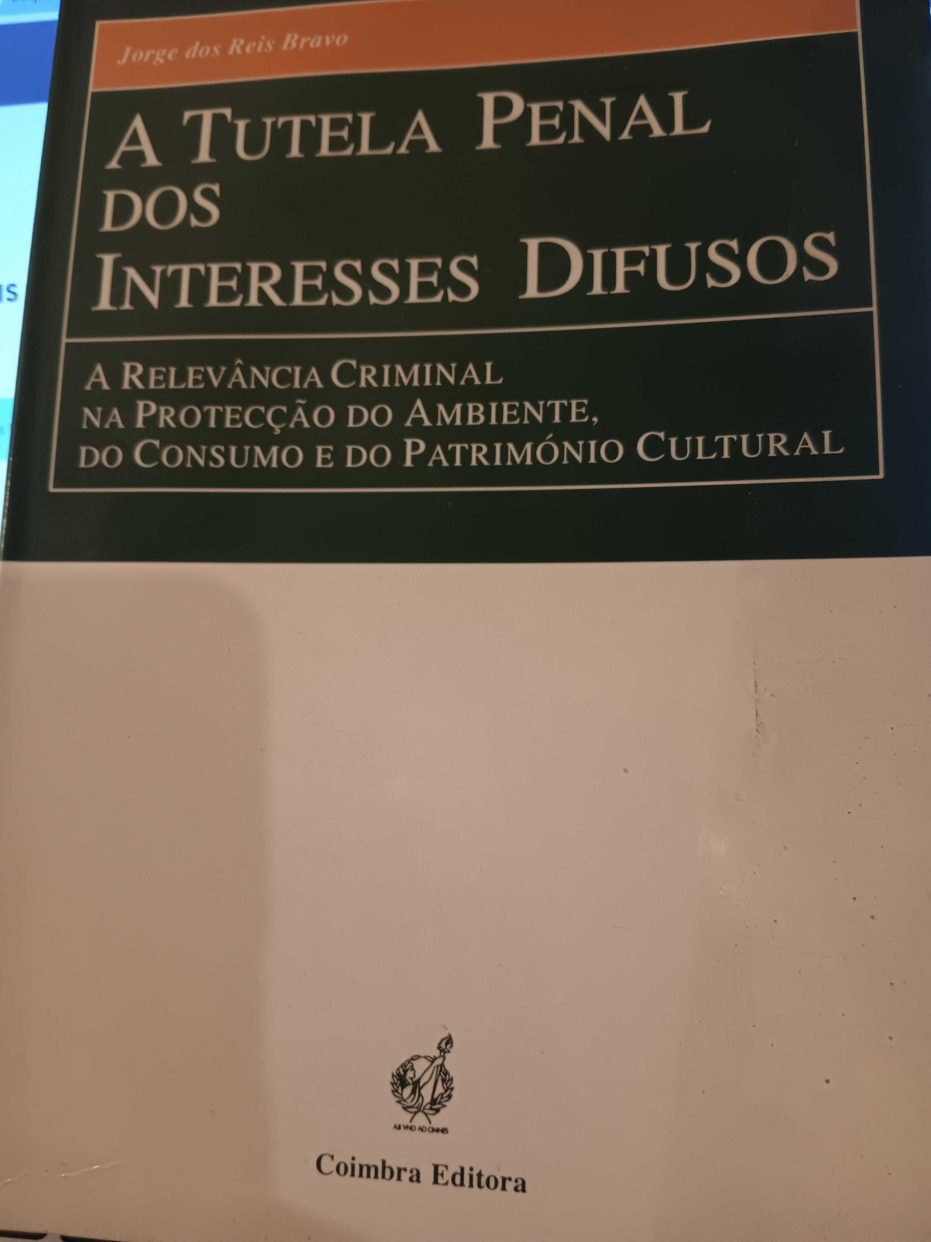 A tutela penal dos interesses difusos