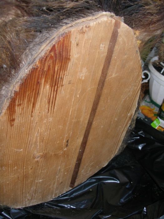 срочно большая голова оленя +голова кабана