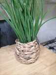 Plantas artificiais novas