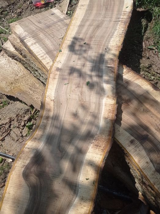 Дошка горіха грецького