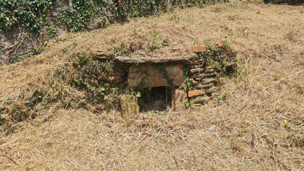 Limpeza de terrenos