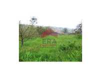 Terreno de 5.600m2 em Areirinha, Óbidos
