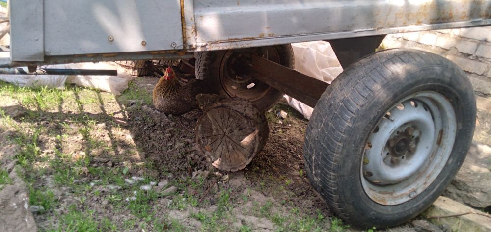 Причіп до мотоблоку