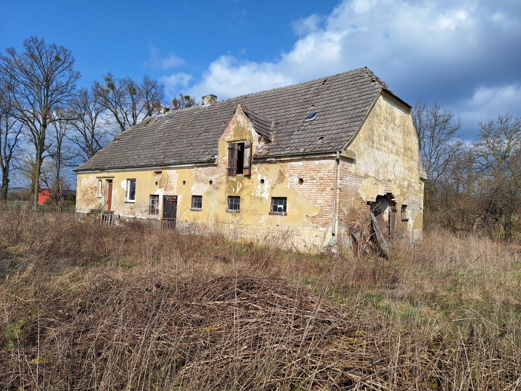 Dom z dużą działką 0,5hektara