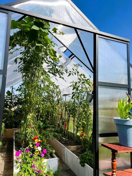 Szklarnia ogrodowa z poliwęglanu Premium bezpłatna dostawa