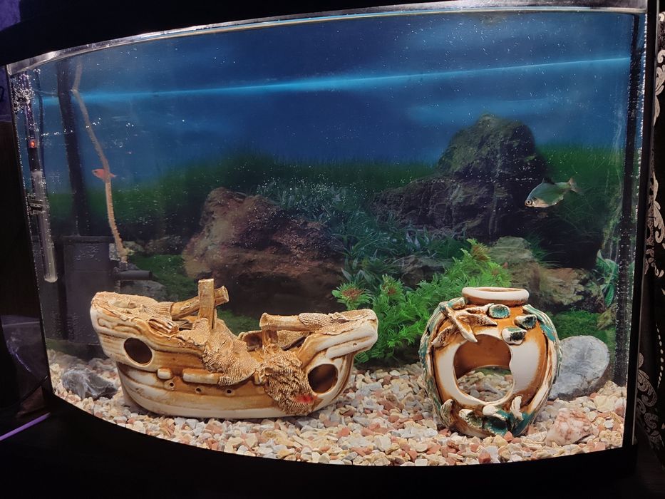 Акваріум з декором