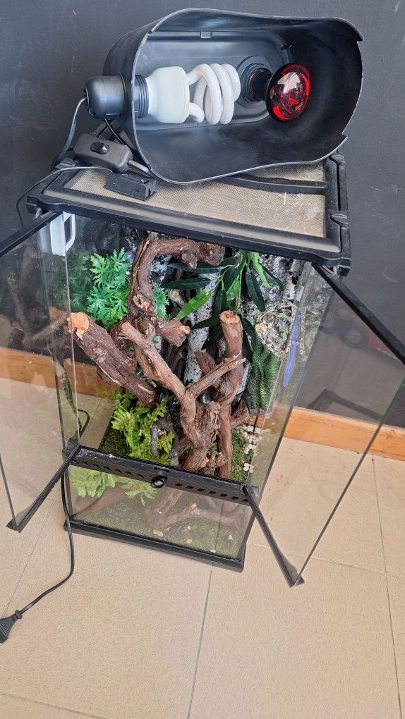 Terrario exoterra 30x60 cm