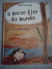 Livro "A maior flor do mundo"