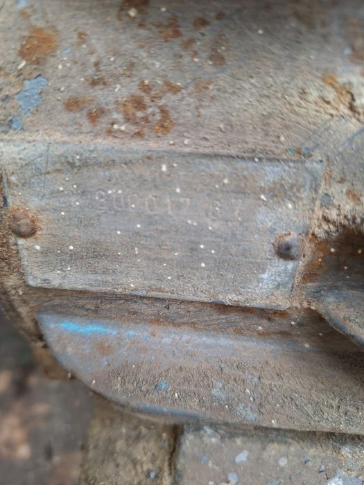 Piła tarczowa  Krajzega Tarczówka