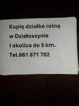 Ziemia Działoszyn
