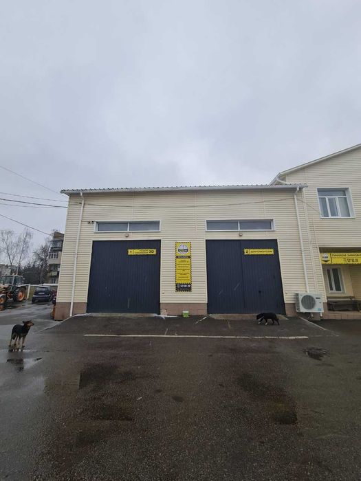 ТОП СЬГОДНІ! СТО на фасаді з паркомісцями, в’їзд до міста Бориспіль