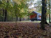 Лісовий ЕКО-будинок з Сауною на дровах подобово Брюховичі, відпочинку
