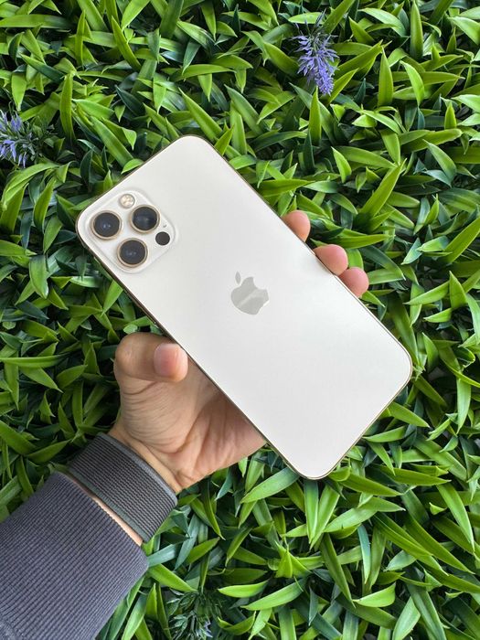 Apple iPhone 12 Pro 128GB Dourado - Loja Ovar