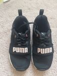 Buxiki Puma roz 31