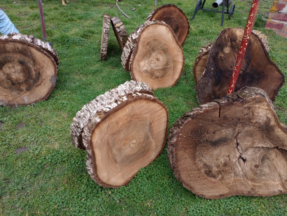 Plastry orzech włoski