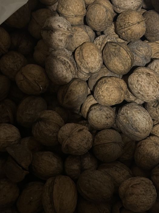 Прадам горіхи цього року