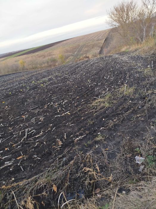 Продам будинок с. Рояківка Берестинський район