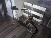 rower treningowy stacjonarny globus 2000 zabytkowy