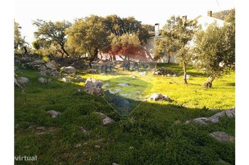 Terreno T0 para venda