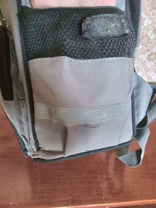 Ранець шкільний/ портфель з ортопедичною спинкой з дінозавро