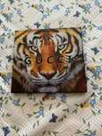 T-shirt Gucci Nova