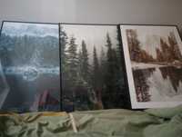 3 plakaty w ramach, leśne krajobrazy 50x70 cm