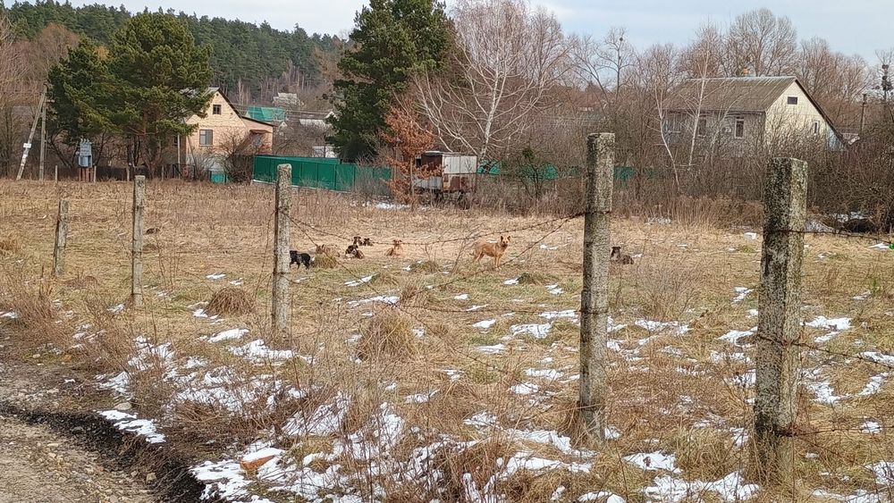 Акційний продаж від власника! Земельна ділянка 5 соток у Київській обл