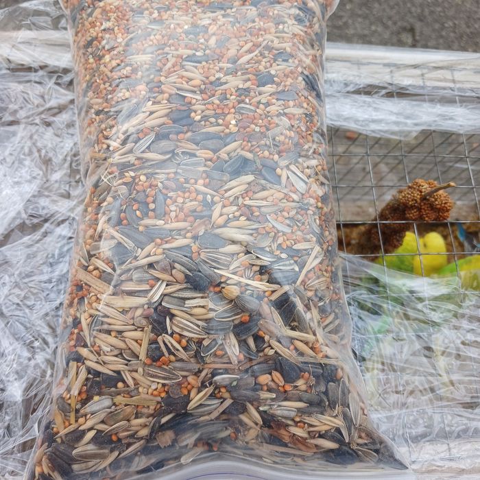 Продам зерно чумізи ,могару