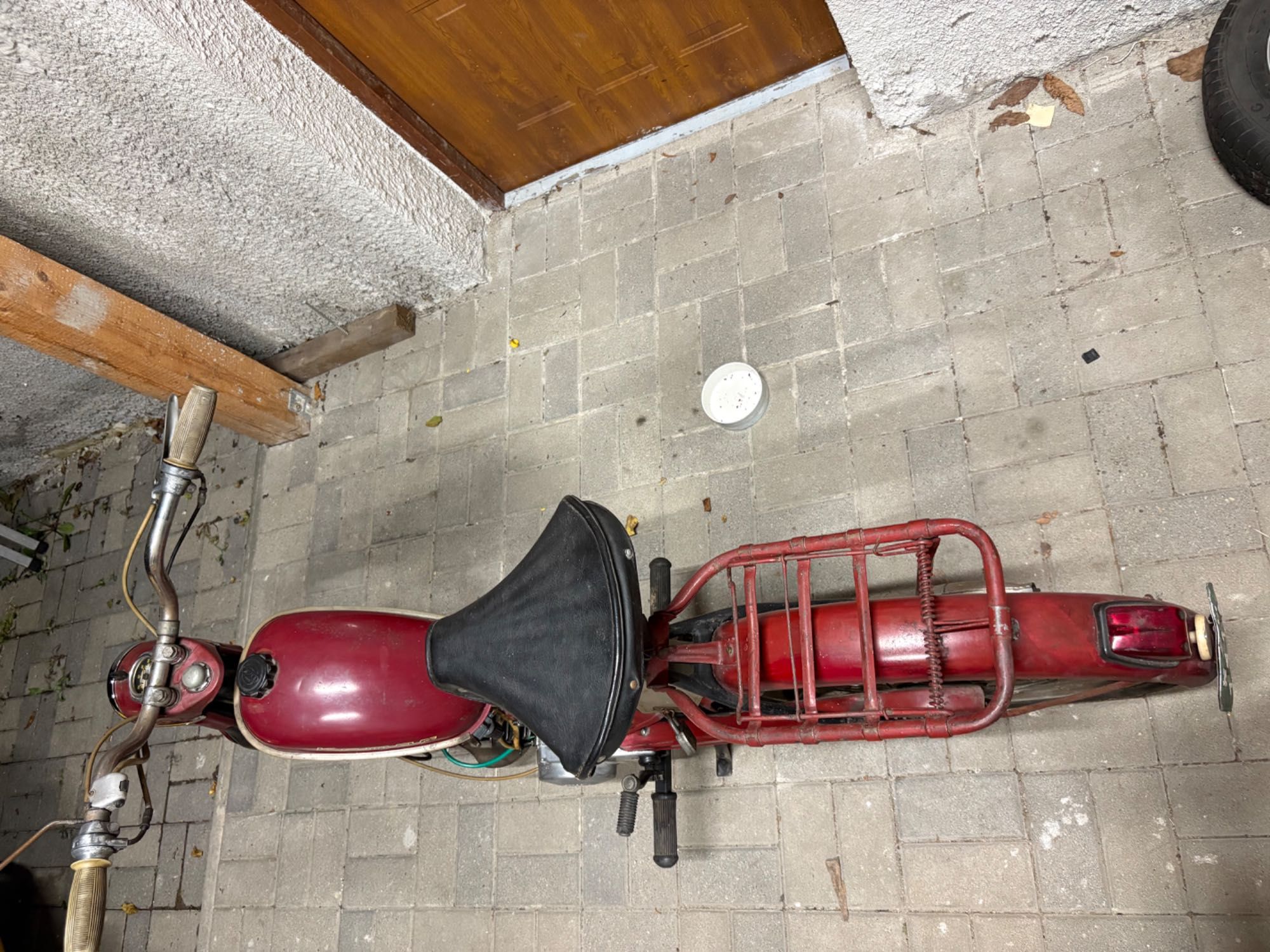 Komar sztywniak 2320