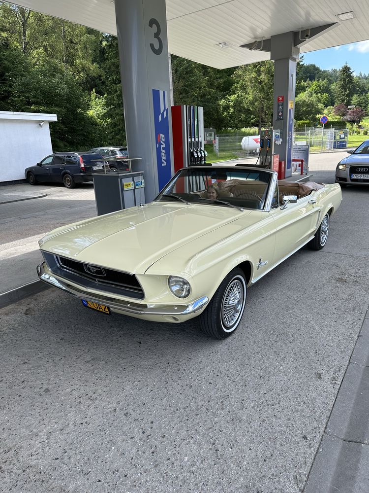 Ford Mustang 4,7L (289).