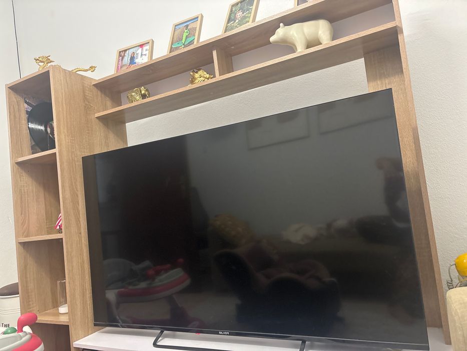 Televisor 55 polegadas