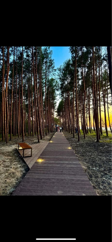 Pokoje ,,UGrubego” Stegna.