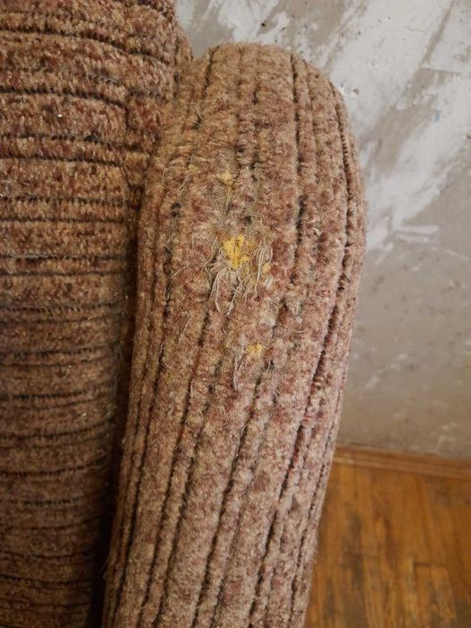 Диван розкладний. безкоштовно за самовивіз.