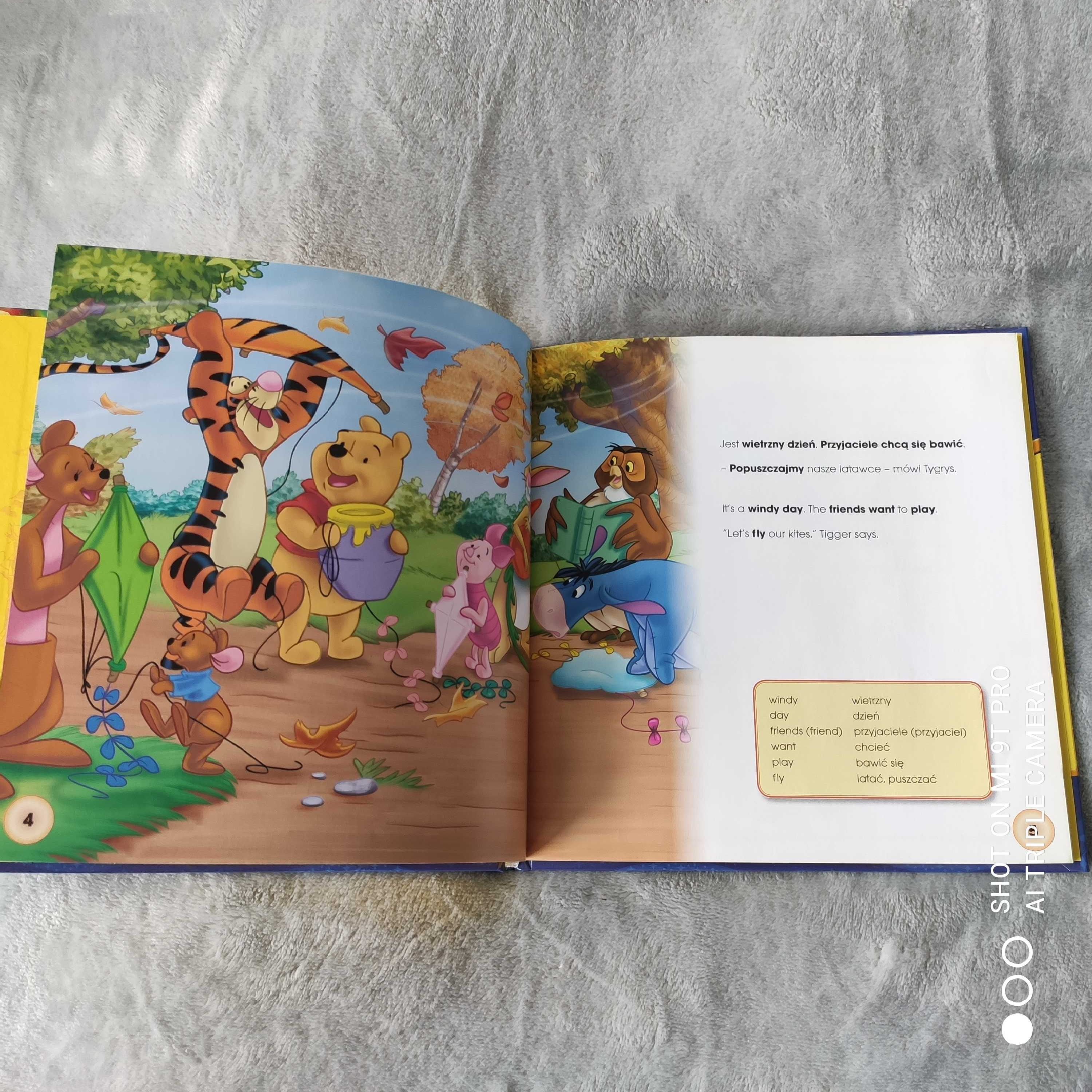 Kolekcja książeczek Disney po angielsku 7szt+CD+2 duże maskotki+naklej