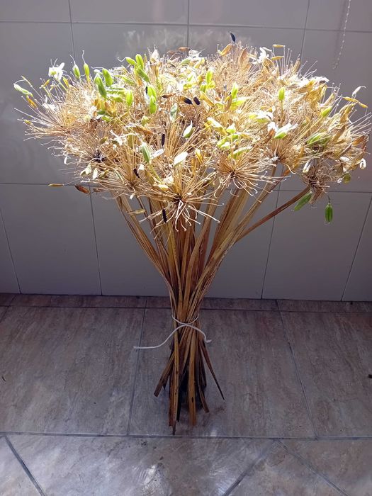 Ramos de flores secas longos para jarra ou jarrao