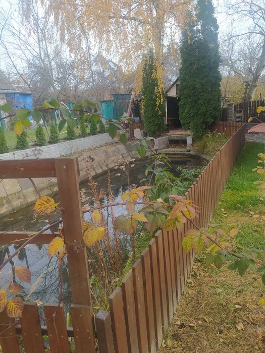 Оренда будинку, Велика Калинка