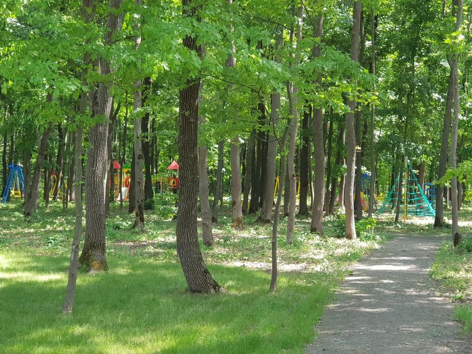 Офис продаж в КП "Лесное"  участок 13 соток в лесопарке без комиссии