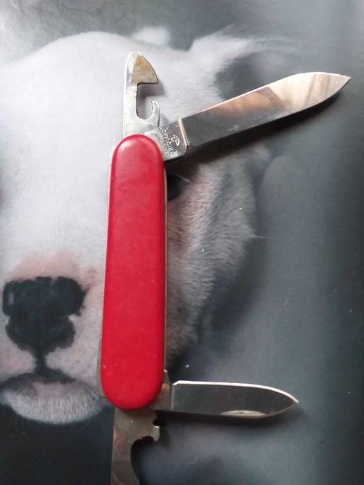 canivetes victorinox (lote)