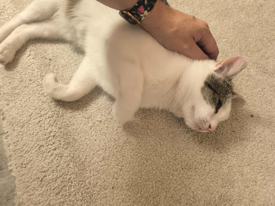 Czy ktoś ją w końcu pokocha?..