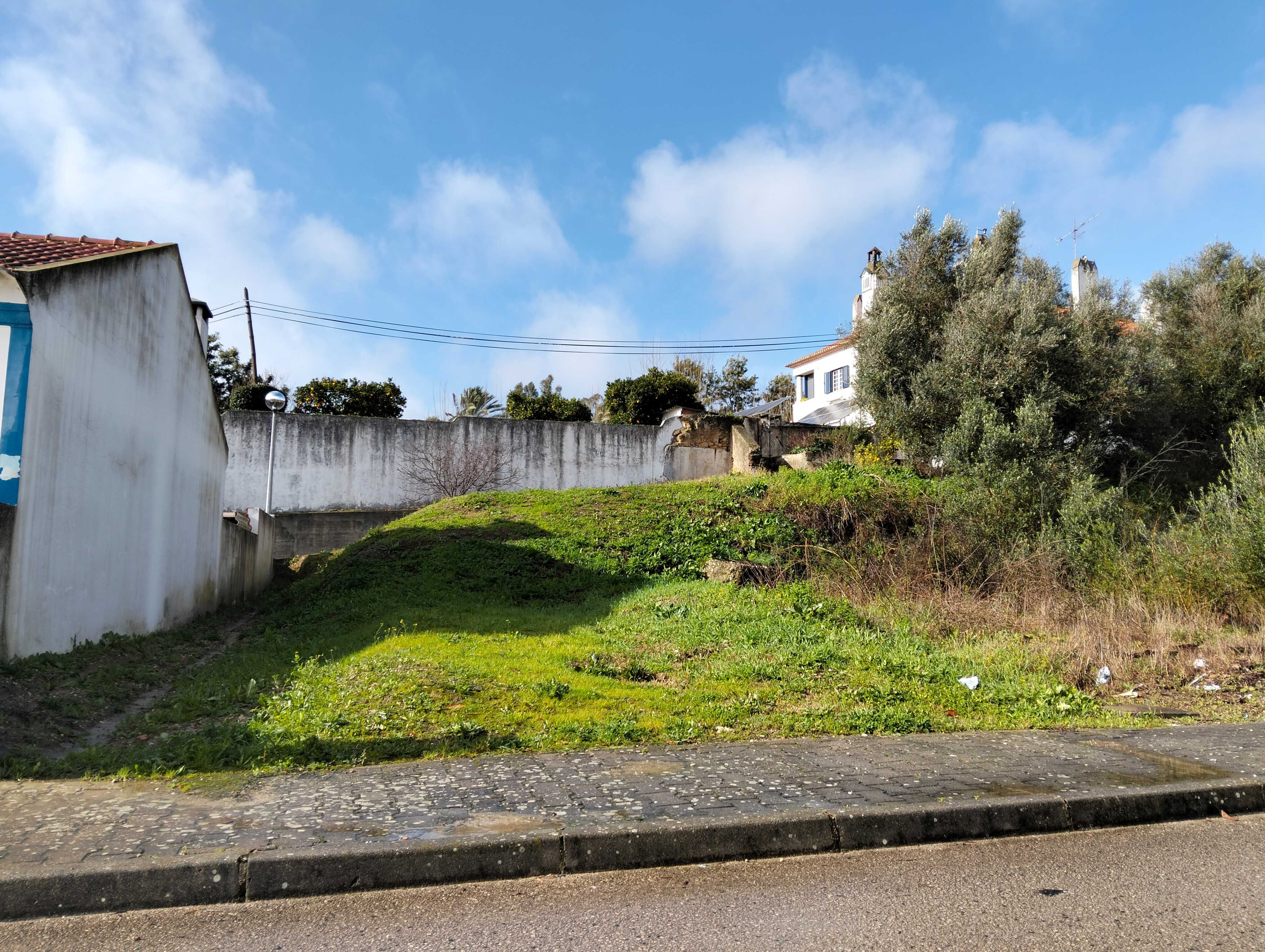 Terreno urbano em palma