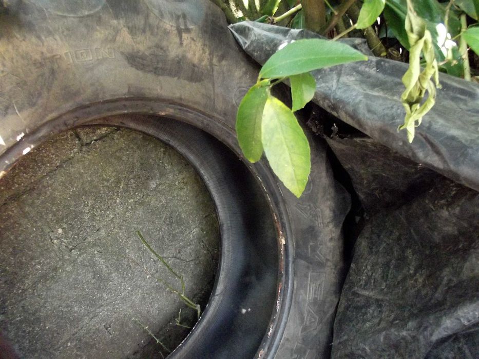 Pneu de tras para trator